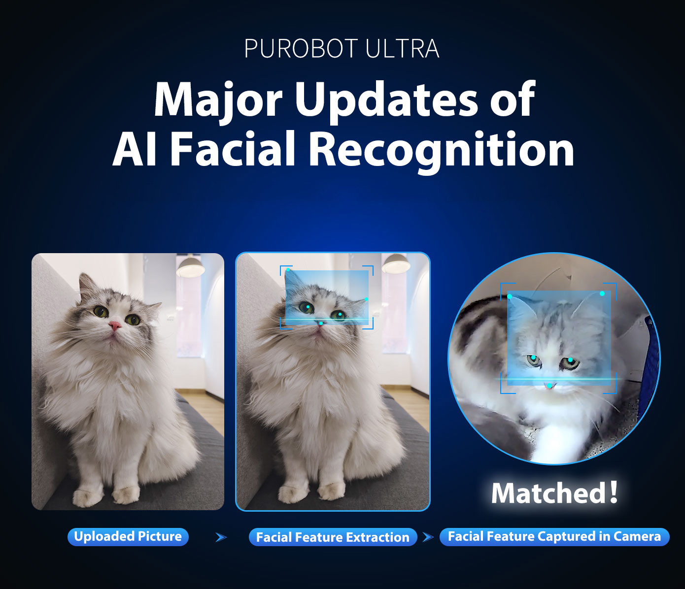 各猫ちゃんをAIカメラで認識