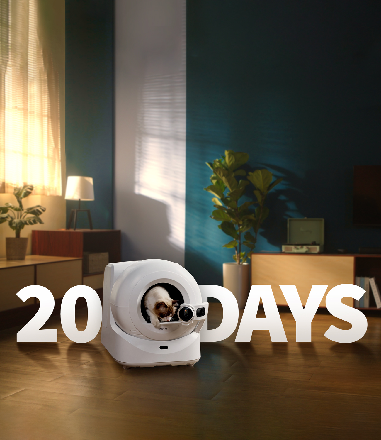 掃除まで最大20日